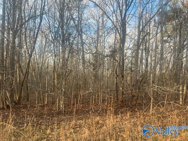 Listing photo 3 for 3/-ACRES County Road 137, Cedar Bluff AL 35959