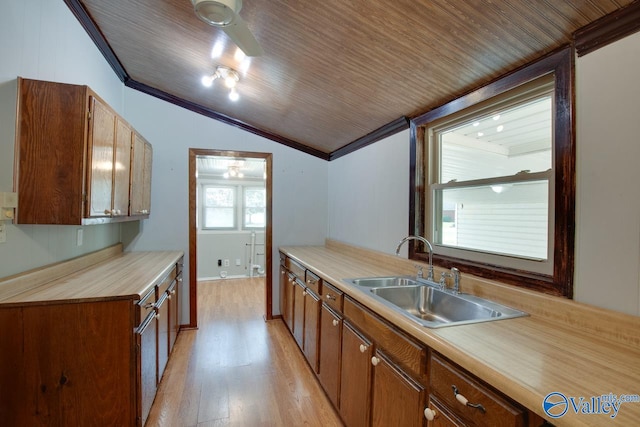 kitchen featuring lofted ceiling, sink, crown molding, and light hardwood / wood-style flooring