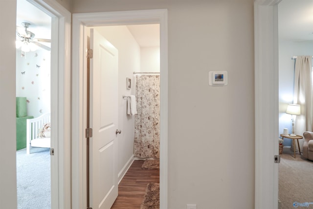 hallway featuring carpet