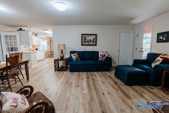 living room with ornamental molding, light wood-style flooring, and a textured ceiling