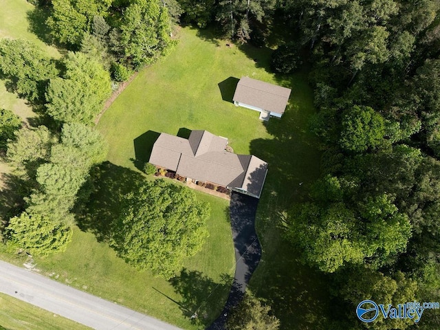 bird's eye view