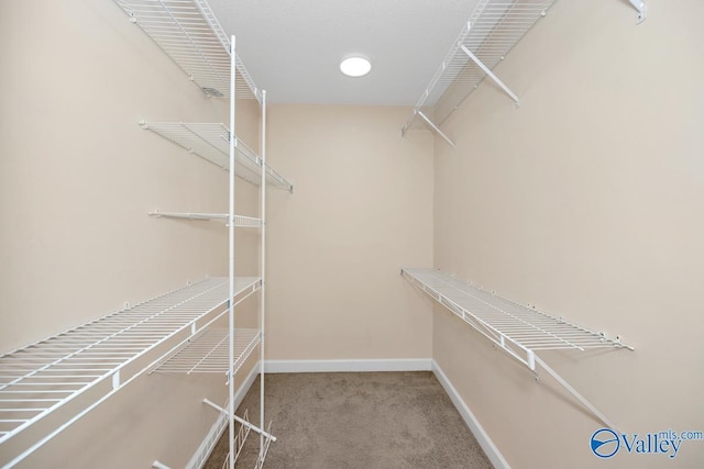 spacious closet with carpet