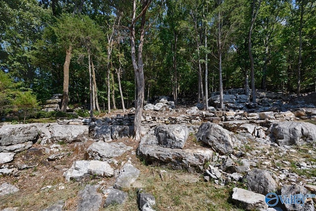 view of nature featuring a wooded view