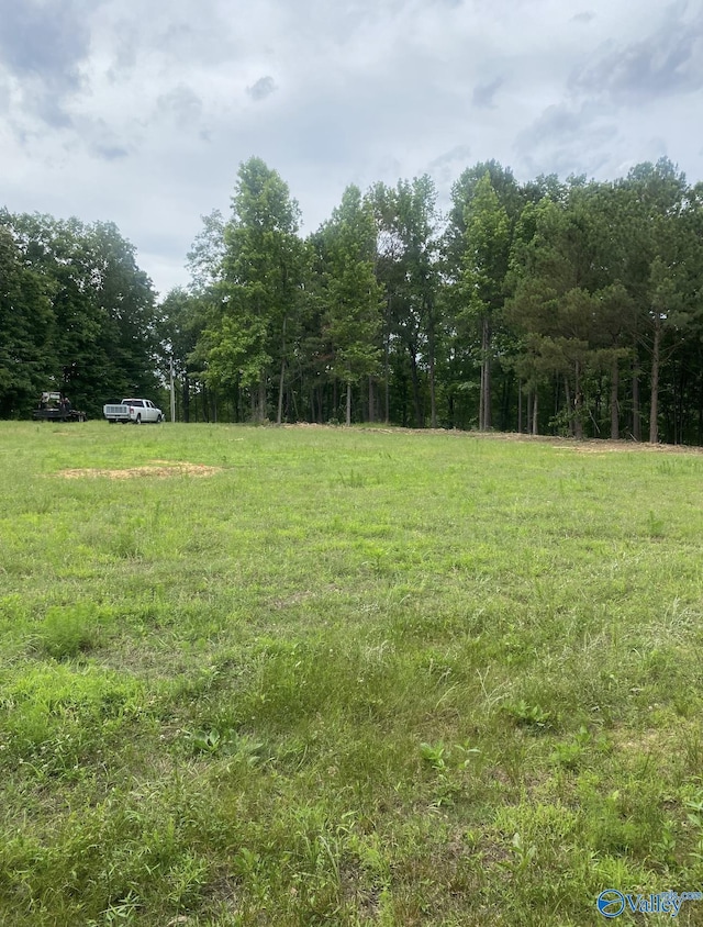 2040 County Road 182, Cedar Bluff AL, 35959 land for sale