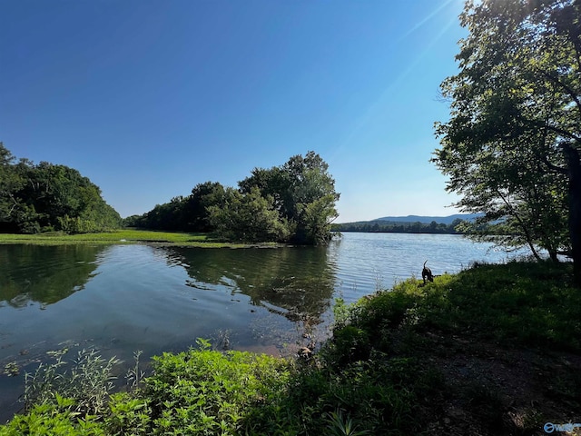 property view of water