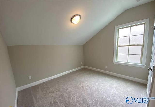 additional living space with lofted ceiling and carpet