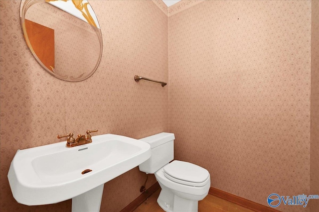 143 Maze Dr, Hartselle, AL 35640 - bathroom with a sink and toilet