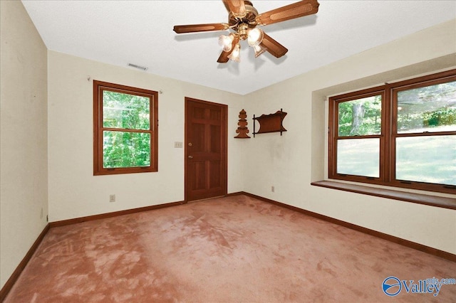 143 Maze Dr, Hartselle, AL 35640 - spare room with healthy amount of natural light, light colored carpet, and baseboards
