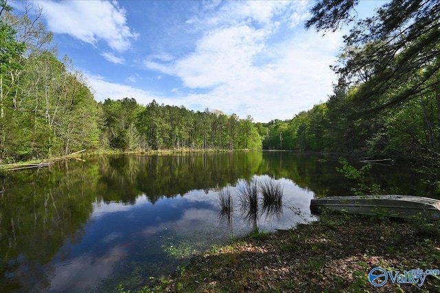 143 Maze Dr, Hartselle, AL 35640 - water view with a heavily wooded area