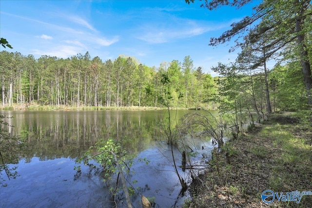 143 Maze Dr, Hartselle, AL 35640 - water view featuring a forest