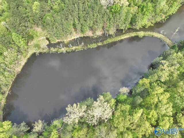 143 Maze Dr, Hartselle, AL 35640 - aerial overview of property's location with a nearby body of water and a heavily wooded area