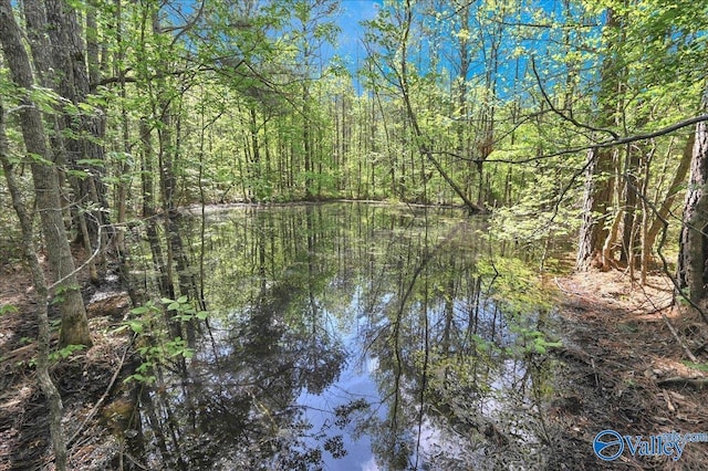 143 Maze Dr, Hartselle, AL 35640 - water view with a heavily wooded area
