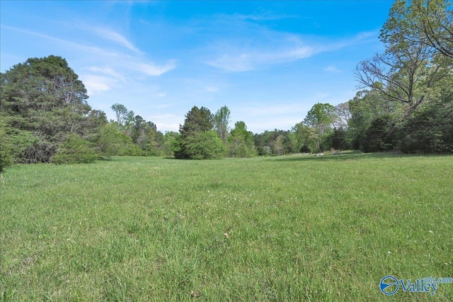 143 Maze Dr, Hartselle, AL 35640 - view of yard with a wooded view