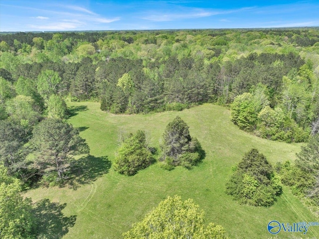 143 Maze Dr, Hartselle, AL 35640 - aerial view of a forest