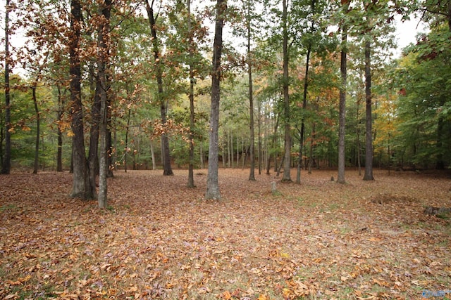 view of local wilderness