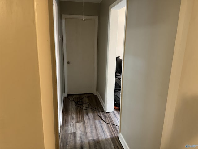 corridor featuring wood-type flooring