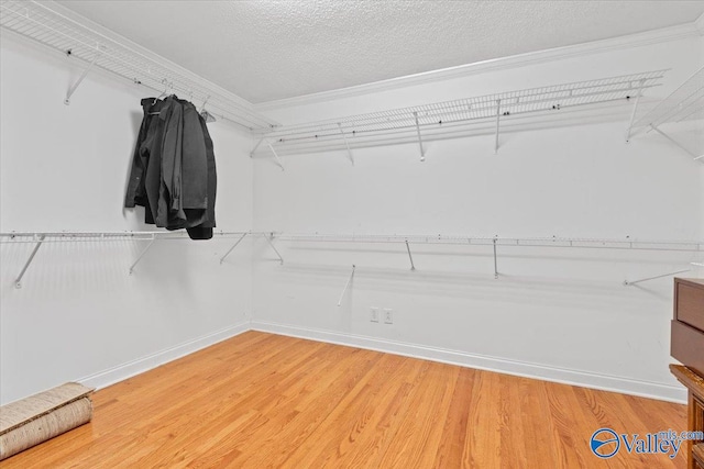 spacious closet featuring hardwood / wood-style flooring