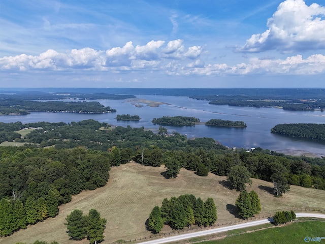 12ACRES Guffey Rd, Scottsboro, AL 35769