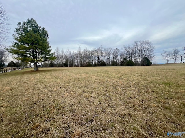 Listing photo 3 for 12ACRES Guffey Rd, Scottsboro AL 35769