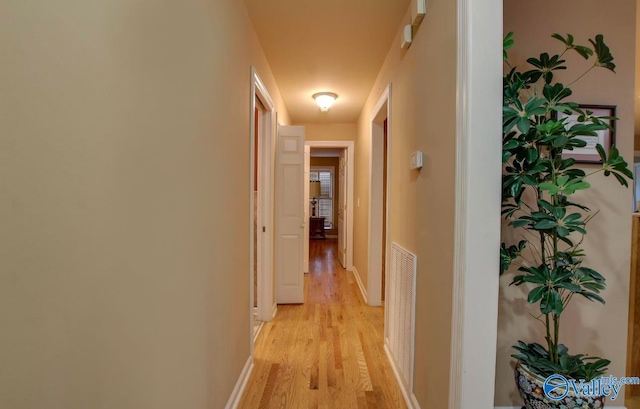 hall with light hardwood / wood-style flooring