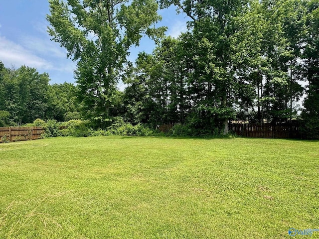 17215 Eunice Ln, Athens, AL 35613 - view of yard