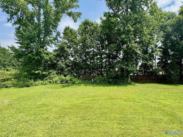 17215 Eunice Ln, Athens, AL 35613 - view of yard