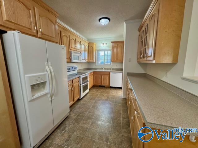 17215 Eunice Ln, Athens, AL 35613 - kitchen with white appliances, a sink, glass insert cabinets, ornamental molding, and a textured ceiling
