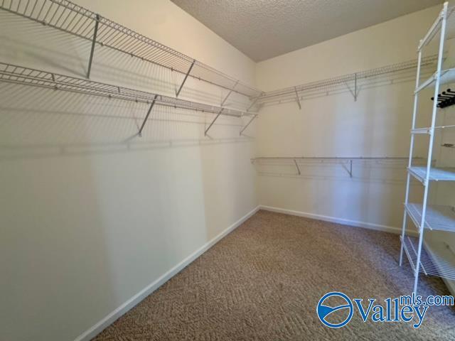 17215 Eunice Ln, Athens, AL 35613 - spacious closet with carpet flooring