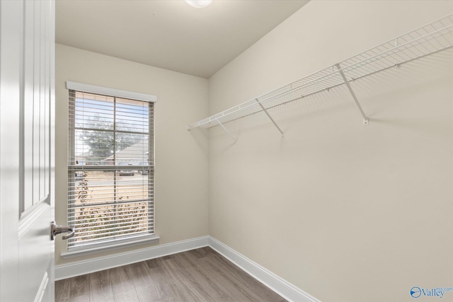 walk in closet featuring wood-type flooring