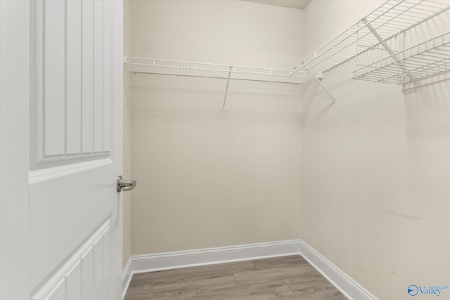 walk in closet with wood-type flooring