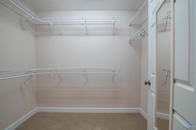 walk in closet with carpet