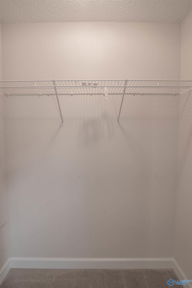 spacious closet featuring carpet
