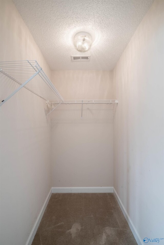 spacious closet featuring carpet flooring