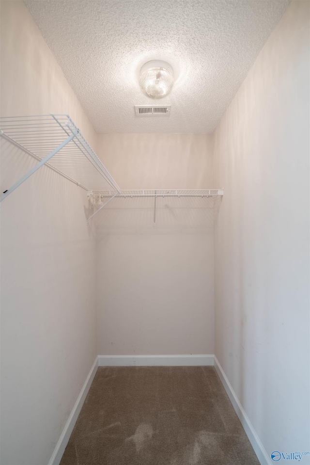 1221 Excalibur Dr SW, Decatur, AL 35603 - spacious closet featuring carpet flooring