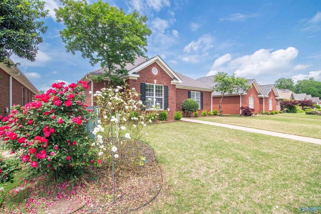 view of front of home featuring brick siding and a front yard
