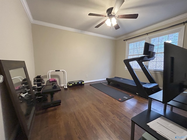 exercise room featuring ornamental molding, wood-type flooring, and ceiling fan