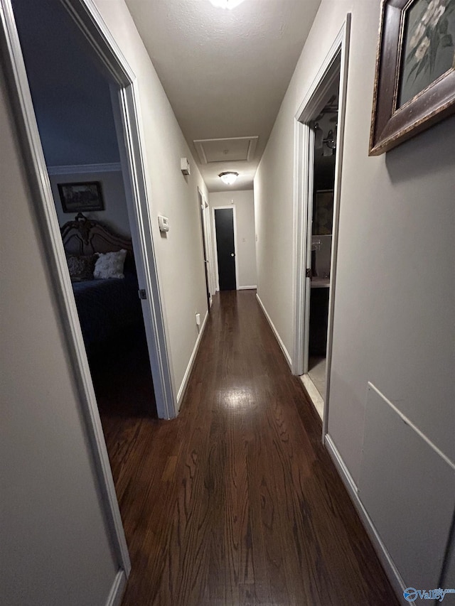 hallway featuring dark hardwood / wood-style flooring