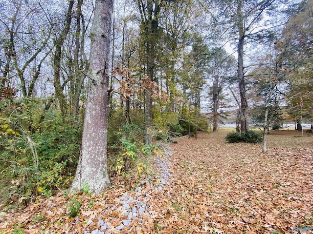 Listing photo 3 for LOT4 White Elephant Rd, Grant AL 35747