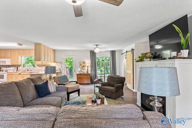 living room with a wealth of natural light, a barn door, wood finished floors, and ceiling fan
