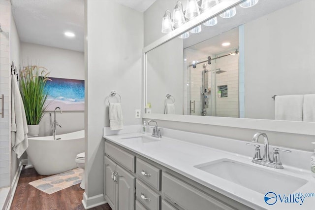 bathroom featuring double vanity, wood finished floors, a shower stall, and a sink