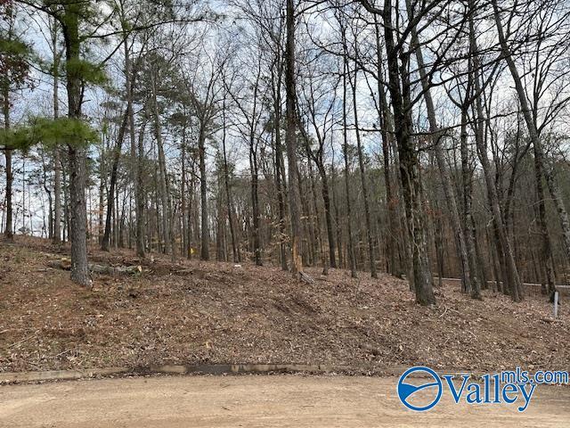 Listing photo 3 for LOT24 Hualapai Ln, Guntersville AL 35976