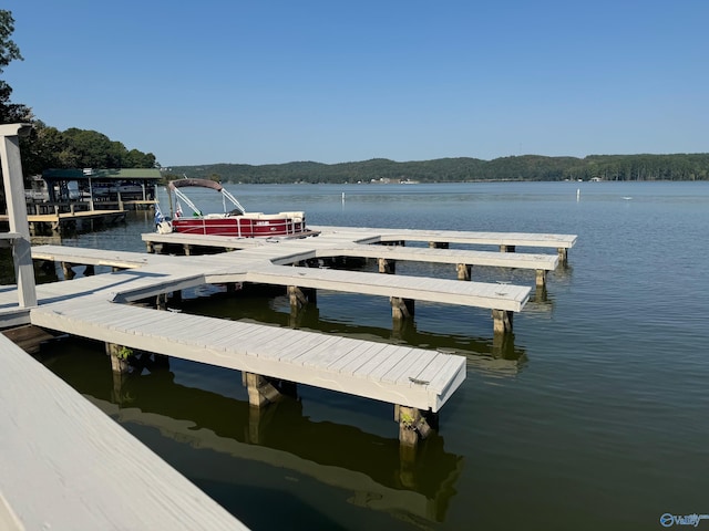 dock area with a water view