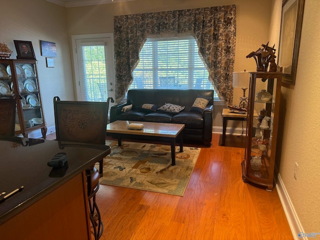 living room with ornamental molding and hardwood / wood-style flooring