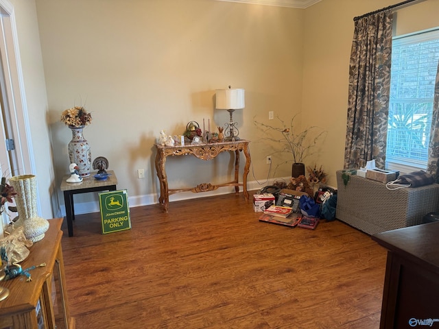 miscellaneous room featuring plenty of natural light, crown molding, and hardwood / wood-style flooring