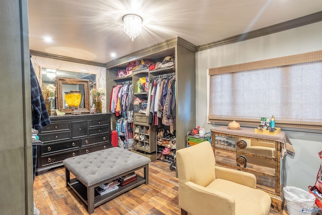 walk in closet with light wood-type flooring