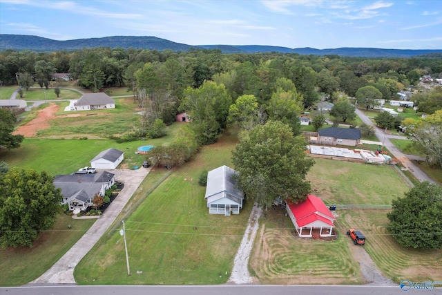 drone / aerial view featuring a mountain view