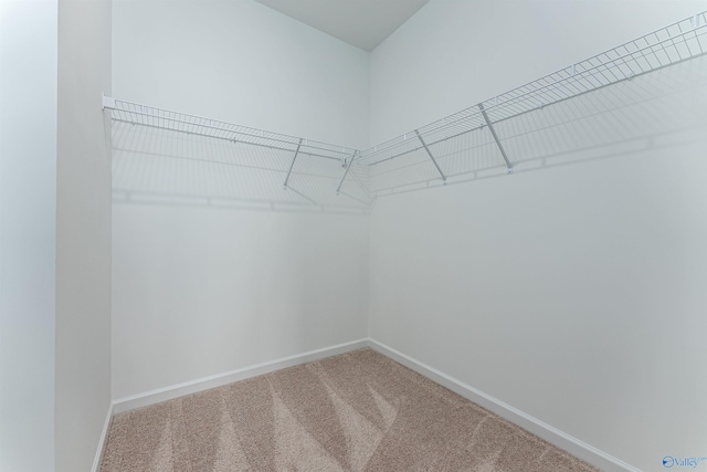 166 Mill Valley Way, New Market, AL 35761 - spacious closet featuring carpet floors