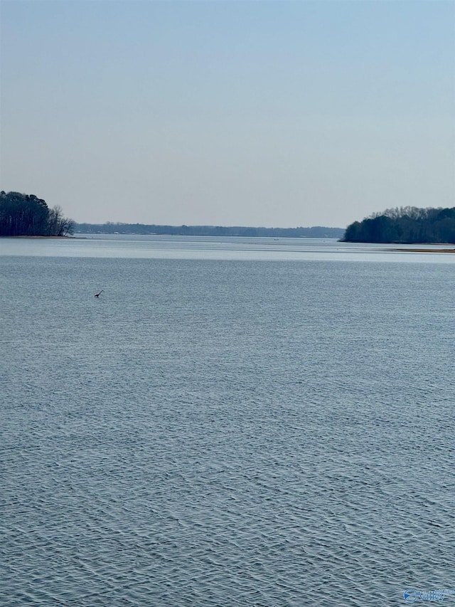 view of water feature