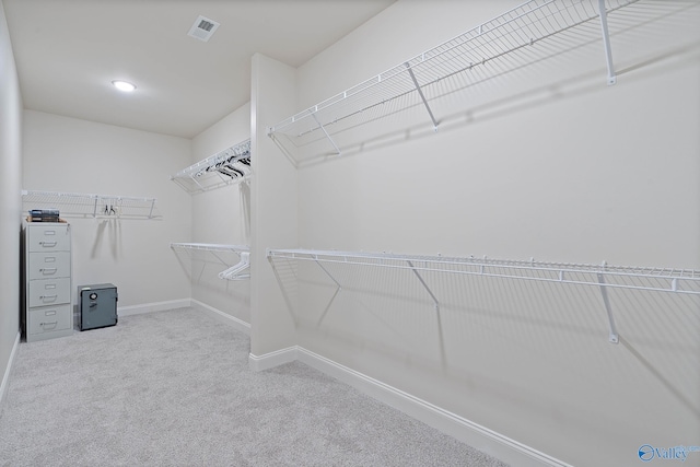 spacious closet with carpet flooring