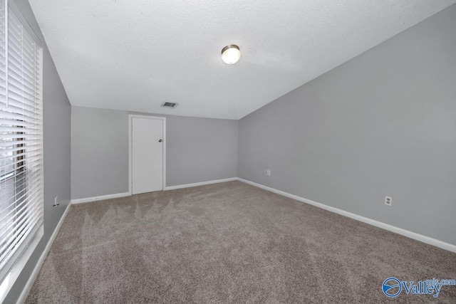 bonus room with carpet floors and a textured ceiling